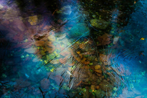 otoño, hielo, hojas, agua