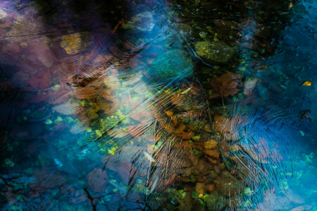 autumn, ice, leaves, water