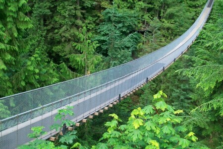 un appareil dentaire, vert jungle, maille métallique