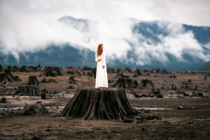 dress, girl, stump