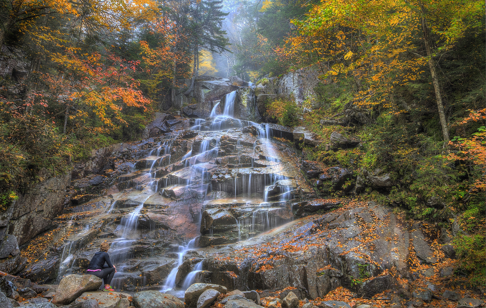 otoño, bosque, río, piedras, arboles, cascada, montañas, rocas