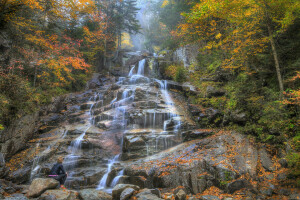 l'automne, forêt, montagnes, rivière, rochers, des pierres, courant, des arbres