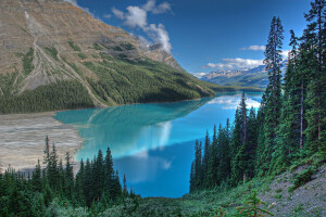 forest, lake, mountains, the sky, trees