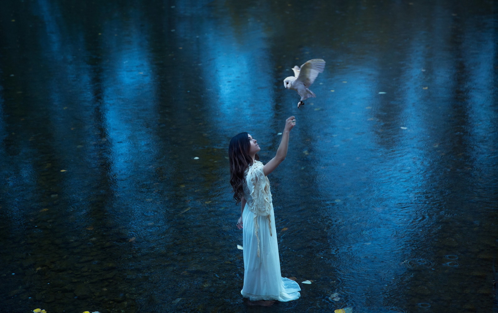 nature, girl, bird