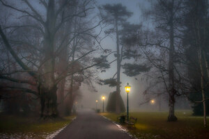 Benches, fog, Foggy, lamp posts, Park, path, people, trees