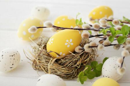 decoration, Easter, eggs, flowers, happy, spring, Verba, Willow