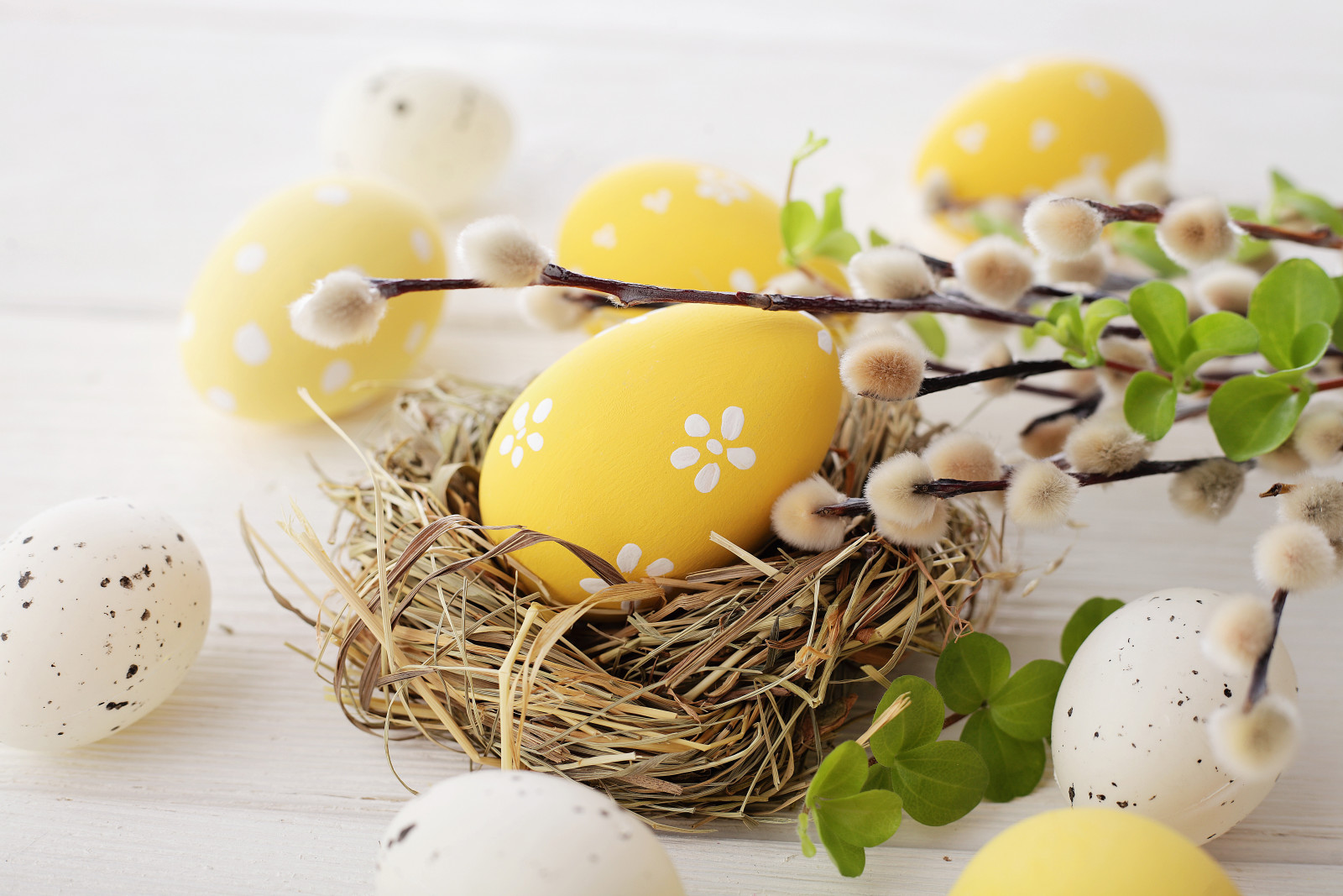 decoration, eggs, happy, flowers, spring, Easter, Verba, Willow