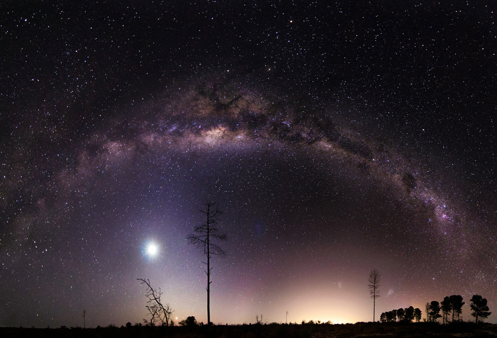 trees, night, space, stars, the milky way