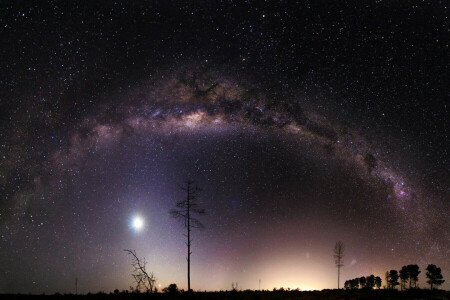 notte, spazio, stelle, la via Lattea, alberi