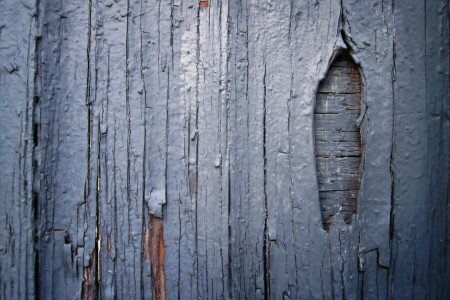 Planche, peindre, la barrière