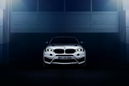 AC Schnitzer, BMW, car, Falcon, tuning, X6M