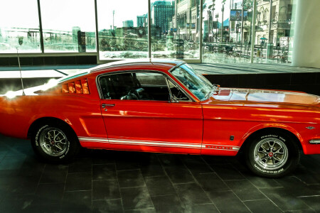 Ford, Carro do músculo, Mustang, vermelho