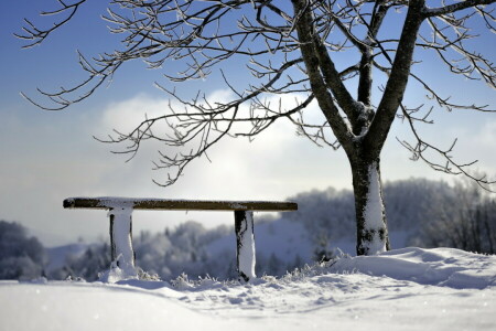 bench, tree, winter