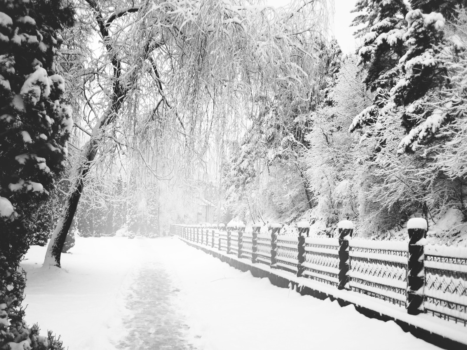 śnieg, Park, zimowy, ścieżka, Ślad, monochromia