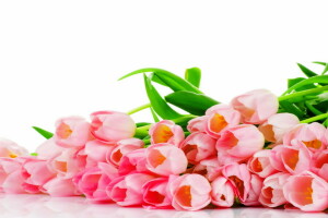 bouquet, flowers, pink, tulips