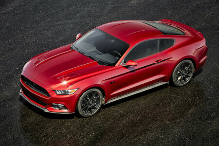 2015, Black Accent, Ford, Mustang