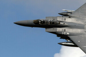 Sas, F-15, Harcos