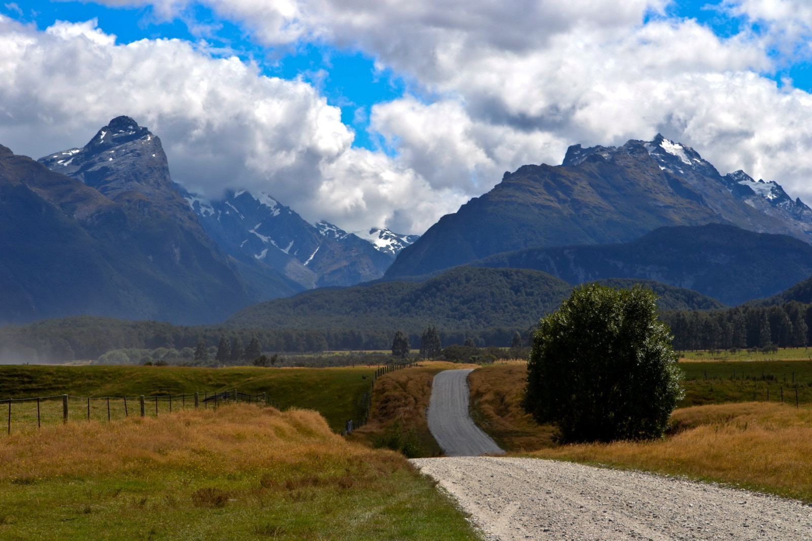 forest, road, field, clouds, mountains