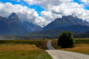 nuvole, campo, foresta, montagne, strada