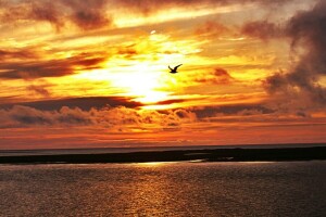 des nuages, mer, rive, le coucher du soleil