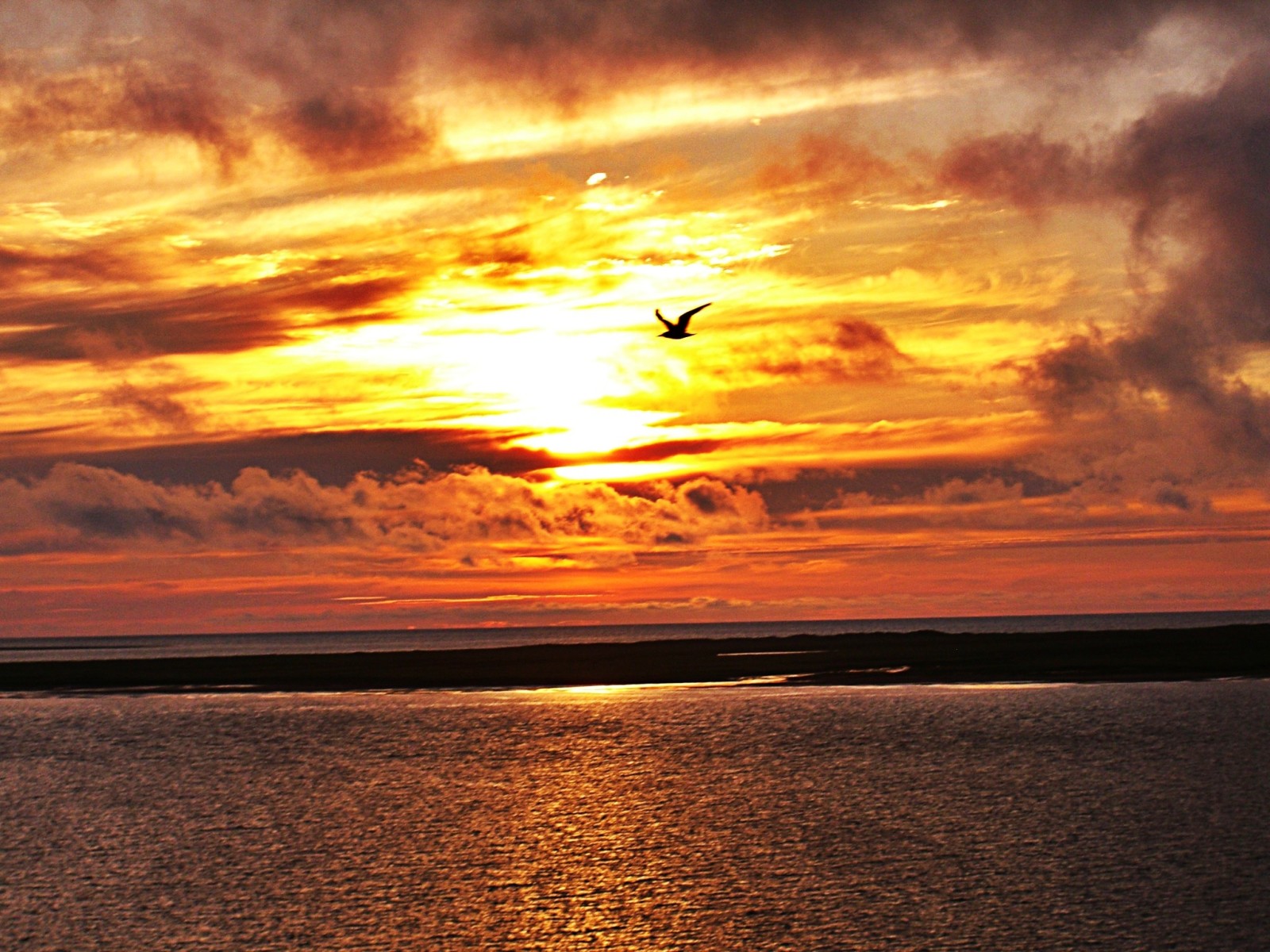 puesta de sol, apuntalar, mar, nubes