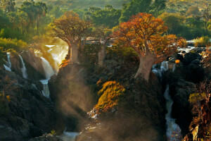 Afrika, Licht, Natur, der Kunene Fluss, Bäume