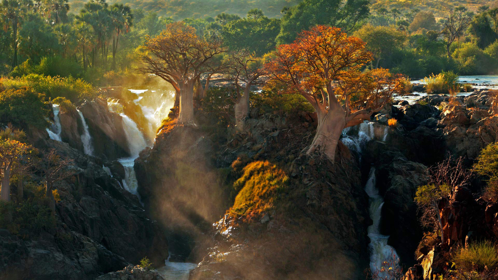 lys, natur, træer, Afrika, Kunene-floden