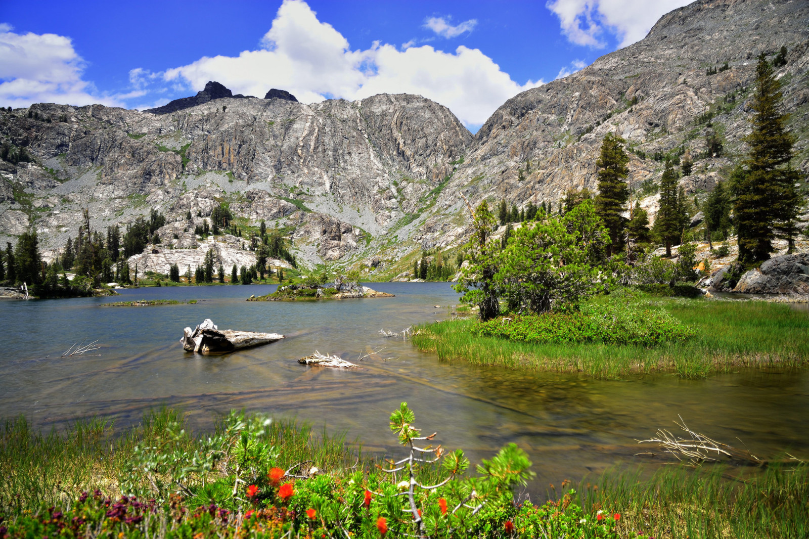 Le ciel, Lac, des pierres, des arbres, fleurs, montagnes, rochers