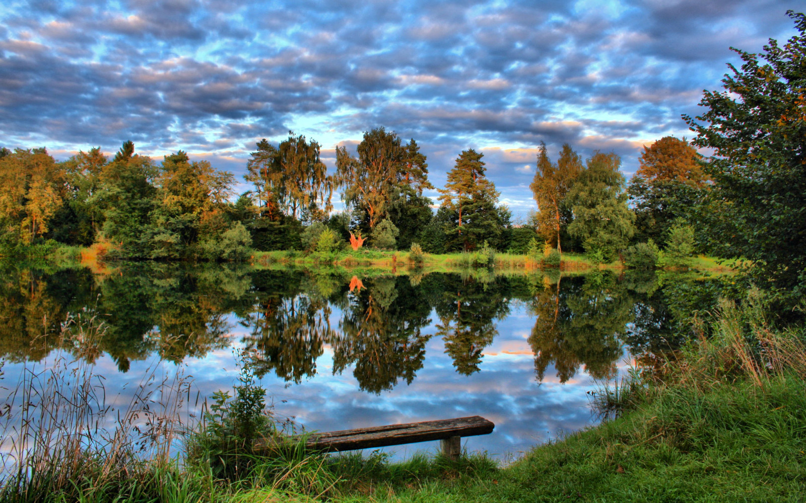 trawa, Natura, niebo, jezioro, drzewa, Niemcy, zdjęcie, Laupheim