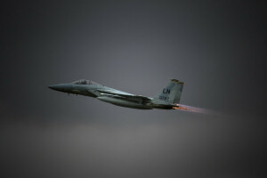 Aquila, F-15C, Combattente, volo