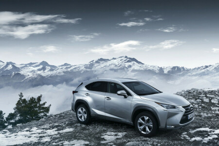 2014, Specifikace EU, Lexus, SUV