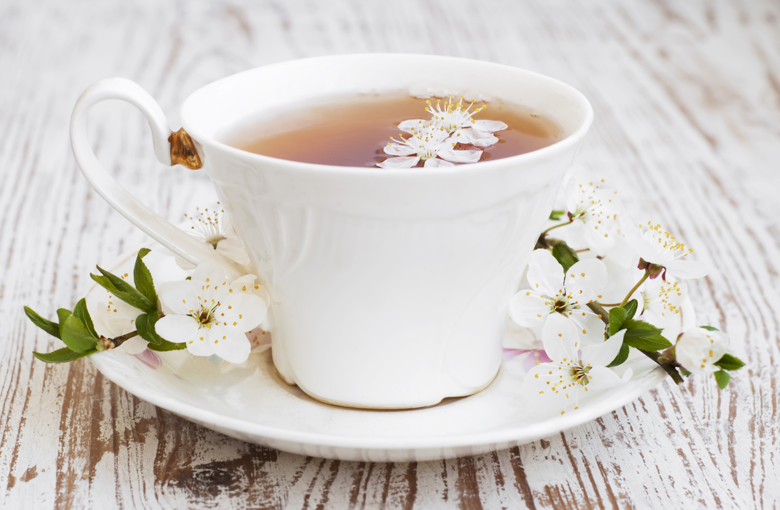 flowers, leaves, tea, sprig