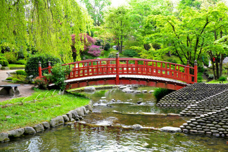 Albert-Kahn Japanese gardens, Bridge, France, Garden, grass, greens, pond, stones