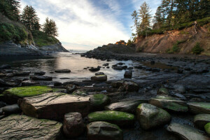 moss, river, stones, trees