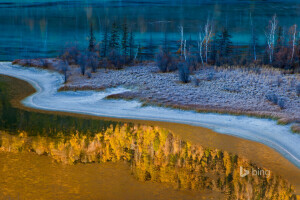 höst, Kina, kontrast, Kanas nationella naturreservat, snö, träd