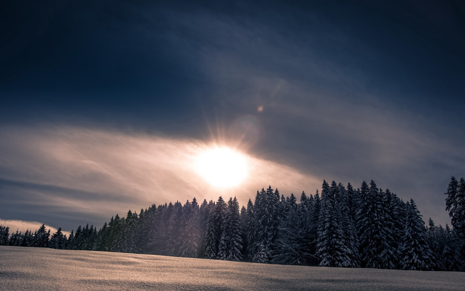 snö, skog, natur, vinter-