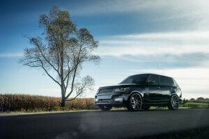 auto, Range Rover, SUV, albero