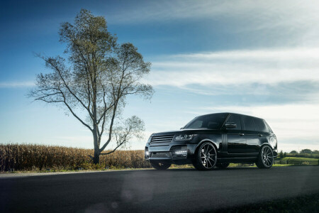 car, Range Rover, SUV, tree