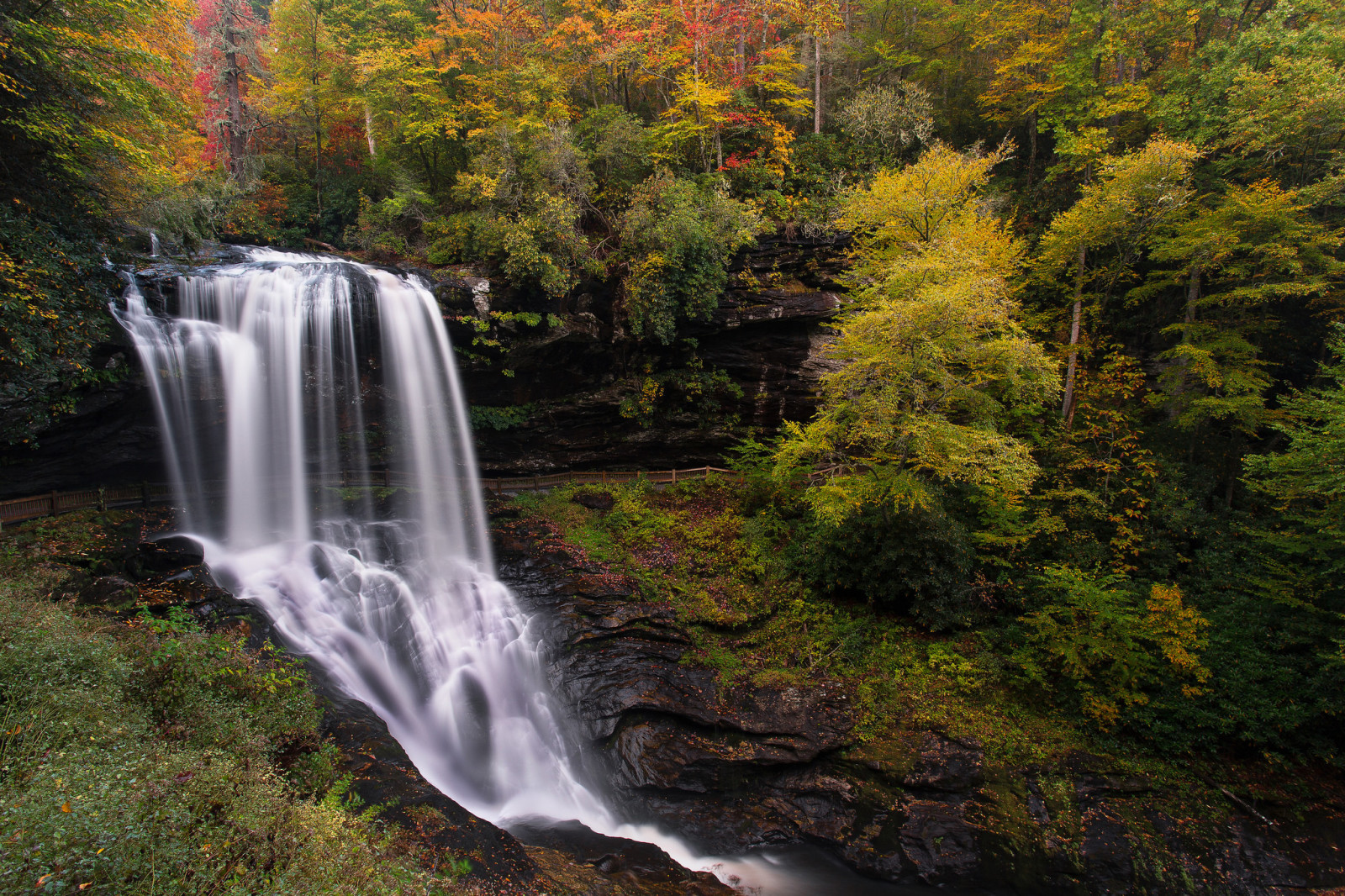 höst, vattenfall, USA, norra Carolina, På floden, Cullasaja, Macon County