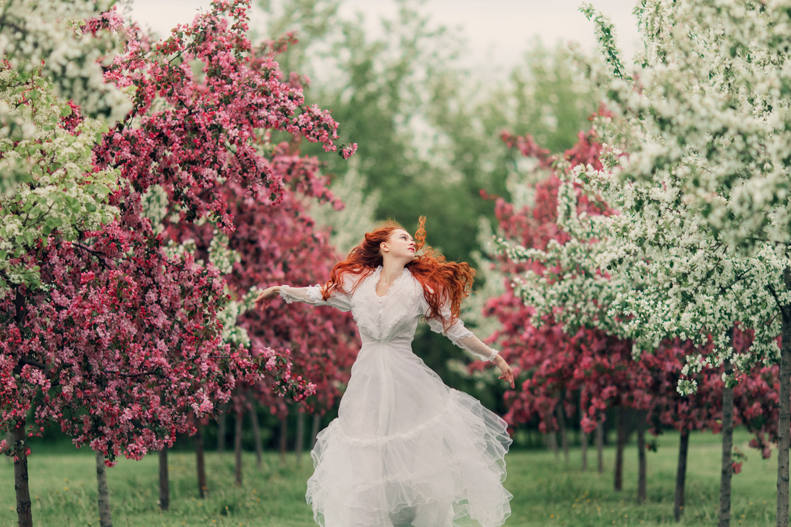 herbe, la nature, bokeh, des arbres, fleurs, printemps, Femme