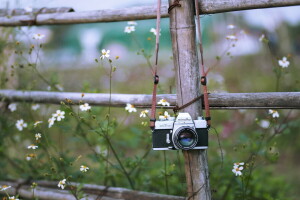 background, camera, the fence