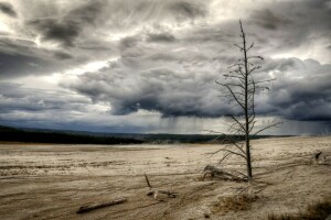 field, late autumn, rain, the sky. clouds, tree