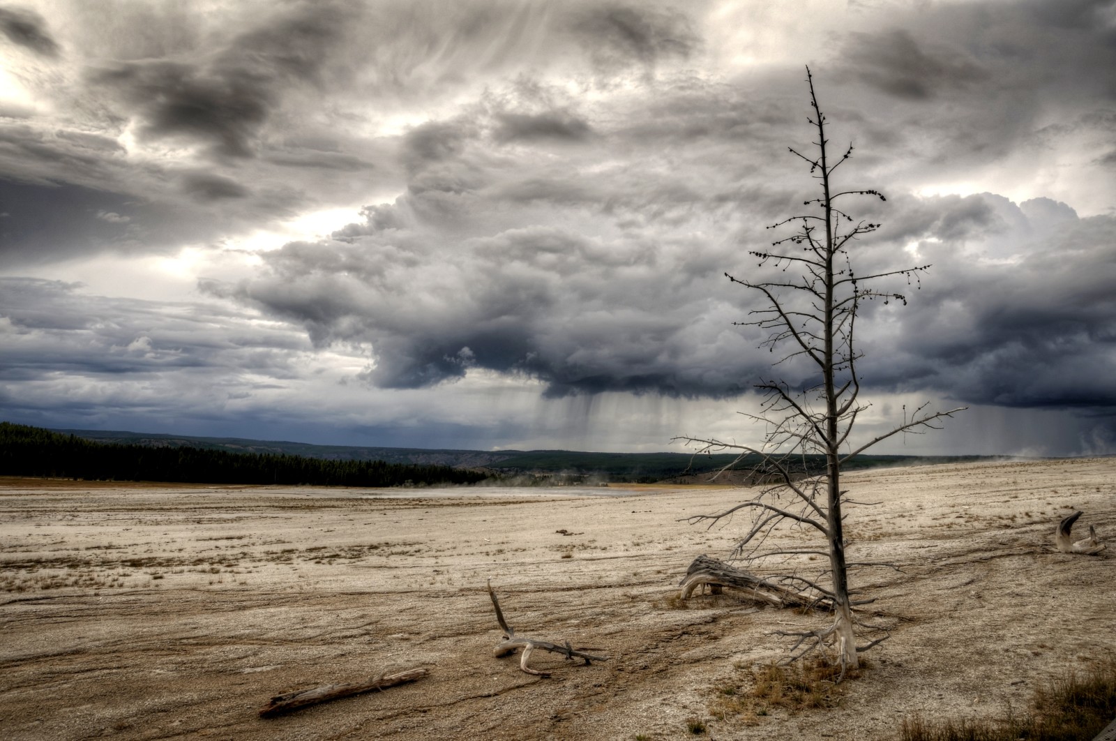 Baum, Feld, Regen, Spätherbst, der Himmel. Wolken