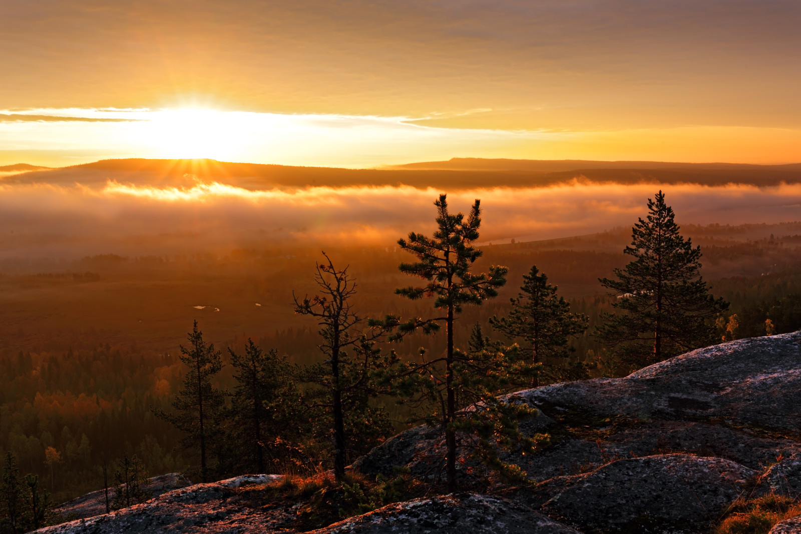 lys, natur, morgen, fjellene, tåke