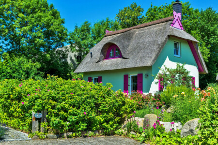 Design, Blumen, Garten, Grüns, Haus, Steine, die Büsche, Die Sonne