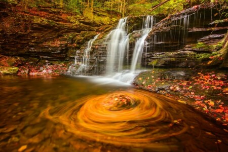 otoño, bosque, paisaje, naturaleza, pintar, río, cascada