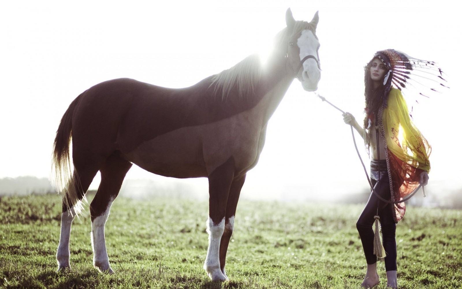 été, fille, cheval, champ, plumes, coiffure