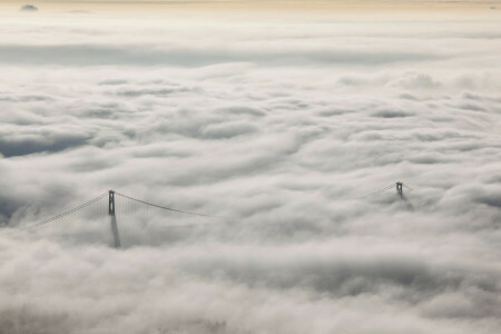 tåke, landskap, Lions Gate Bridge, natur