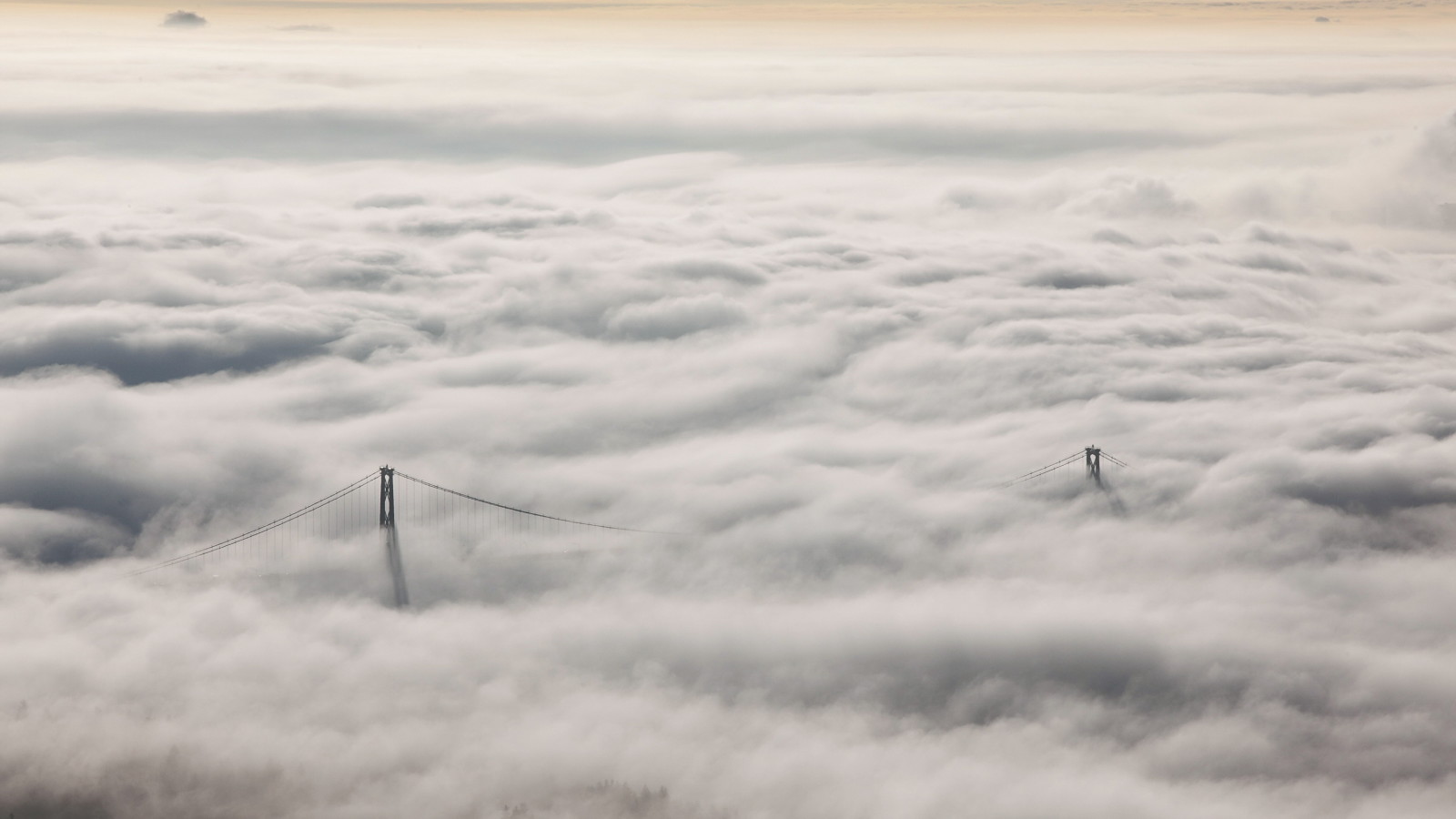 natur, landskap, dimma, Lions Gate Bridge