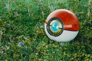 kinderen, Pokeball-project, pokebol, De Hakbit